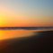 Sunwing