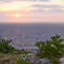 大東島の黄昏