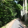 中山道（妻籠宿ー三留野宿）