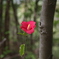 IMGP3245