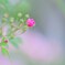 IMG_20230507_085419_541