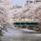 桜色