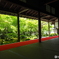 新緑のお寺