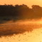 靄のかかったオレンジ色の沼沿いの朝