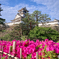 高知城
