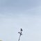 空に手を伸ばす