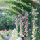 （rose garden)