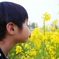 菜の花KISS