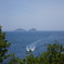 海