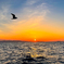 若狭湾SUNSET2