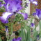 DSC01221