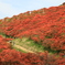 赤く染め抜く山肌