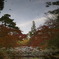 水鏡