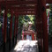 上野公園