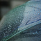 雨色