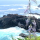 藤の花と海