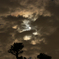月夜の出来事
