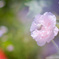 365A0EFB-389E-46C1-A0A5-B845154622AC