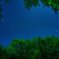 埼玉県秩父市でほぼ真上を見上げた星たち。
