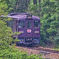 2023-05-21_松島橋(わたらせ渓谷鐡道)-2