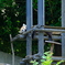 千葉市動物公園