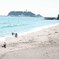 鎌倉高校前から江ノ島を望む