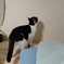 気になる初のエアコン
