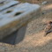 公園のベンチ