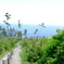 A98F583F-0DD3-4CE1-97E1-0912151FFF8A-157
