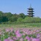 備中国分寺五重塔