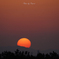 RINKU Sunset_143