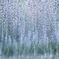 音楽のよう