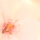 桜　RED