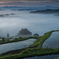 雲の上の棚田