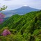 新緑の山肌に包まれて