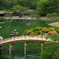 初夏の公園
