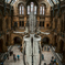 イギリス自然史博物館