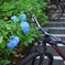 江ノ電 極楽寺駅前