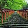 緑の貴船神社参道