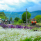 花のある駅