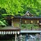緑の貴船神社本殿