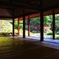 青蓮院