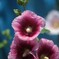 庭に咲く花28「タチアオイー紫色」