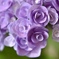紫陽花は幾重にも
