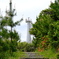 B132008E-6391-44AC-A287-10F51824B89E-157