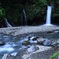 滝と新緑  (619T)