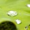 梅雨