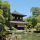 風薫る慈照寺１