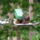 Tama ZOO 5