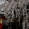 平野神社